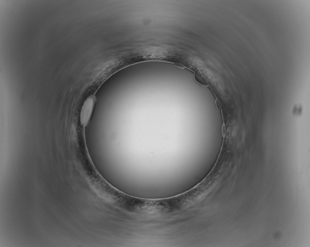 X0000097000209200802151421