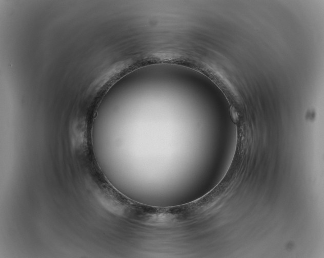 X0000097000212200802151421