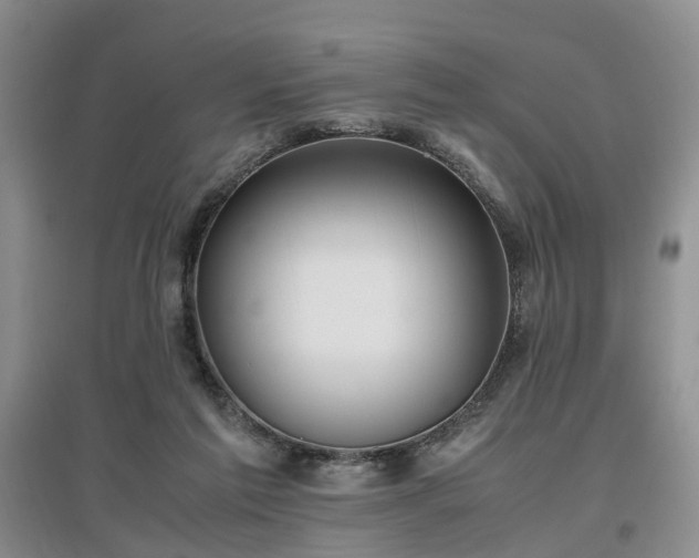 X0000097000213200802151421