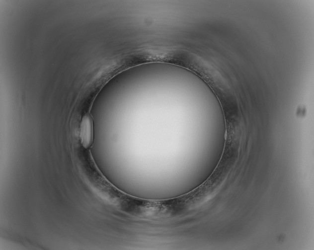 X0000097000215200802151421