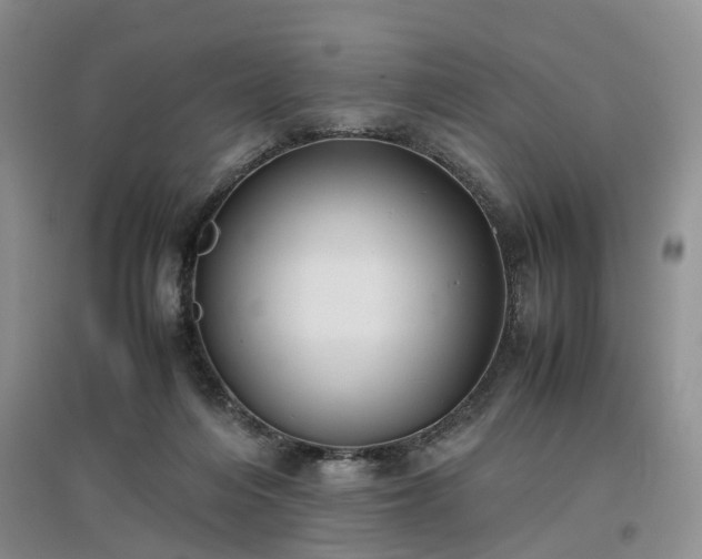 X0000097000216200802151421