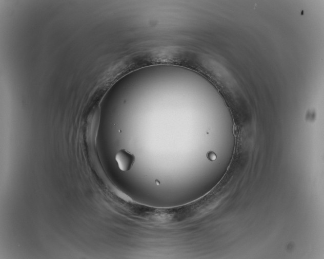 X0000097000217200802151421