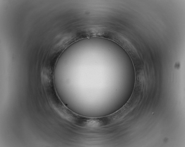 X0000097000218200802151421