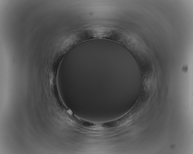 X0000097000219200802151421