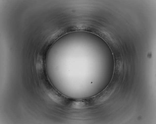 X0000097000220200802151421