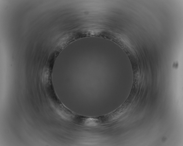 X0000097000222200802151421