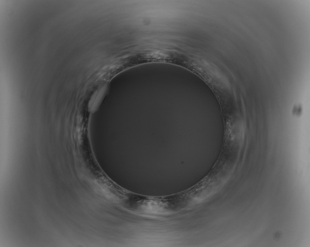 X0000097000223200802151421