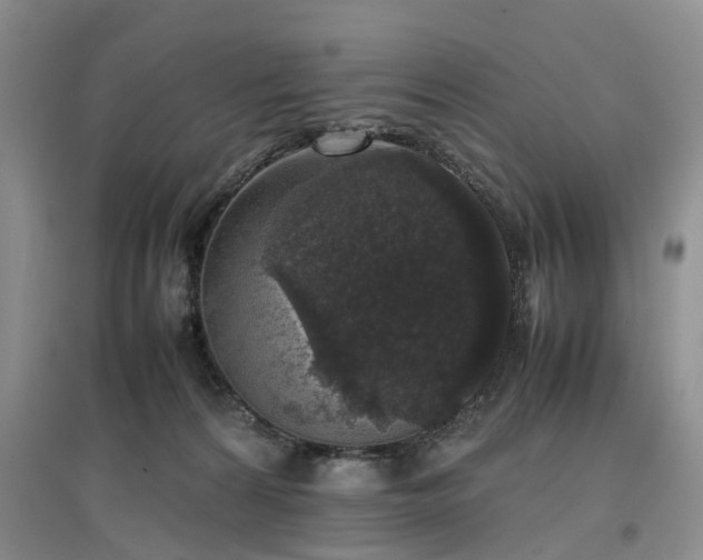 X0000097000224200802151421