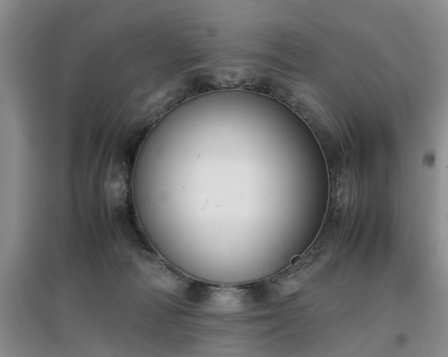 X0000097000226200802151421