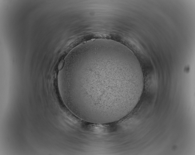 X0000097000229200802151421