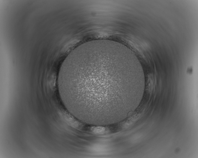 X0000097000230200802151421