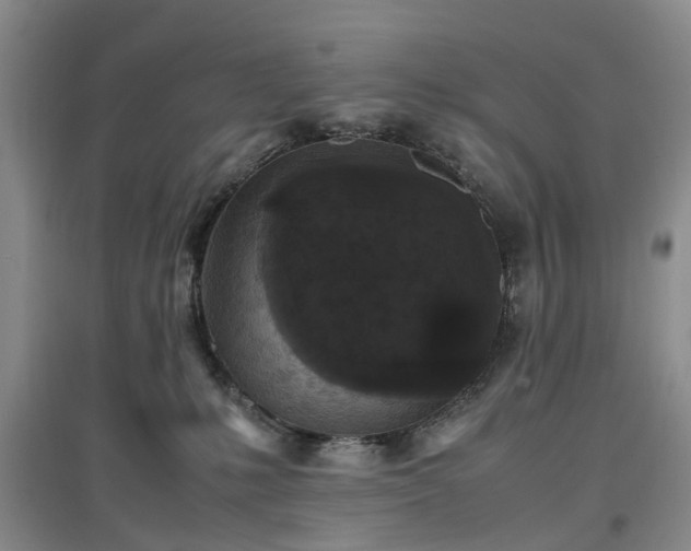 X0000097000231200802151421