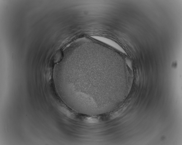 X0000097000232200802151421