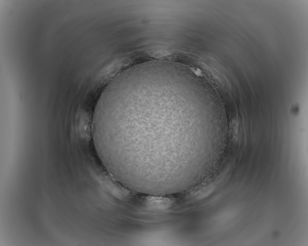 X0000097000234200802151421