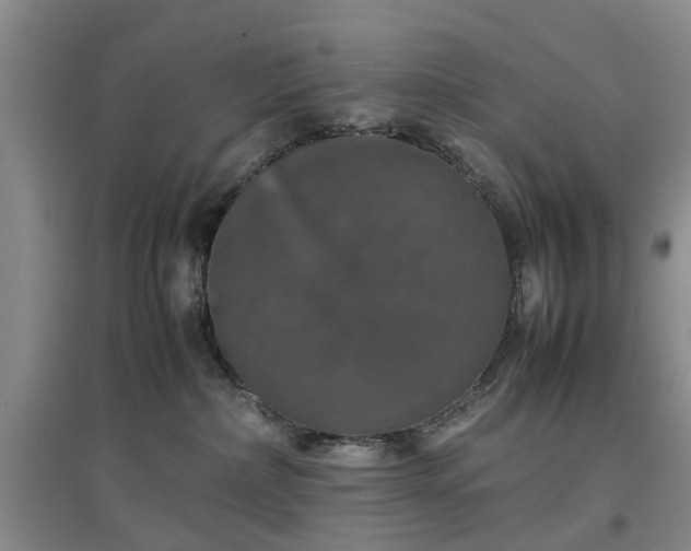 X0000097000236200802151421