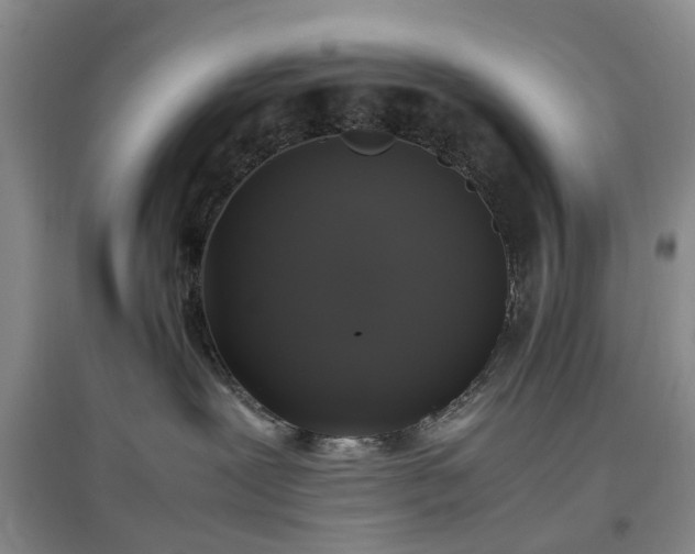 X0000097000239200802151421