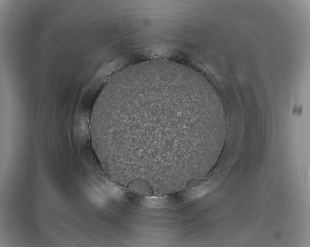 X0000097000240200802151421