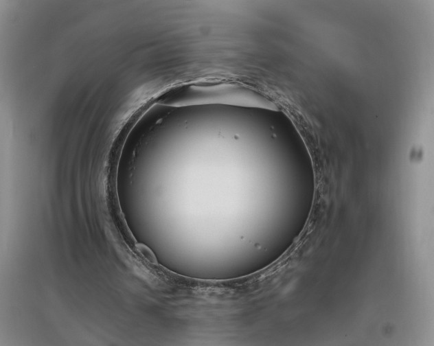 X0000097000242200802151420