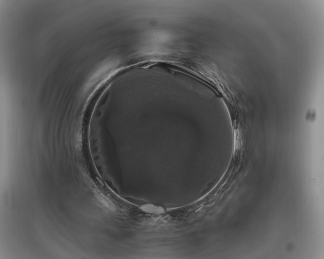 X0000097000243200802151420