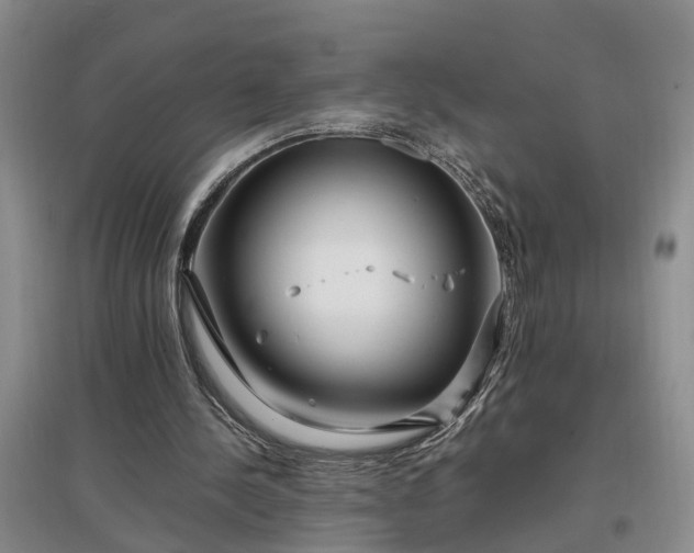 X0000097000244200802151420