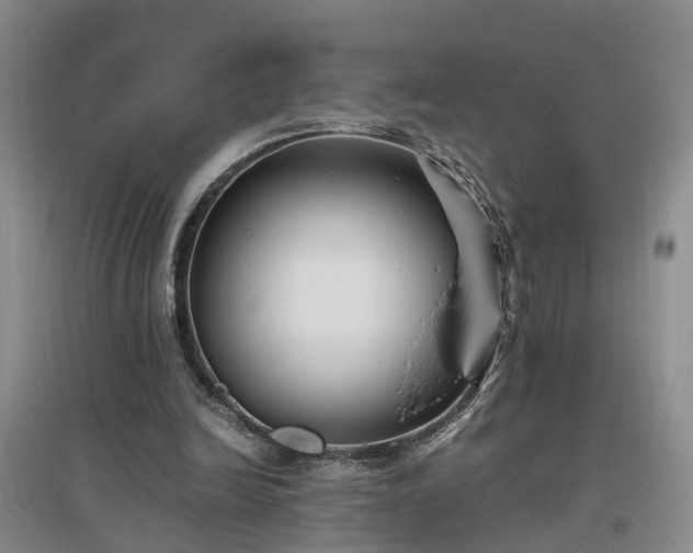 X0000097000246200802151420