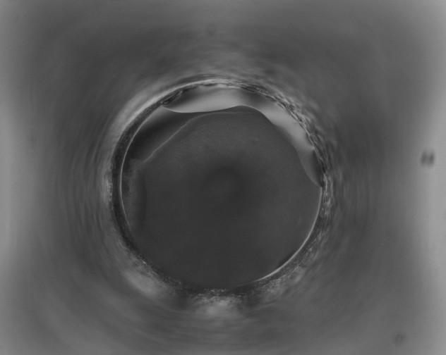 X0000097000247200802151420