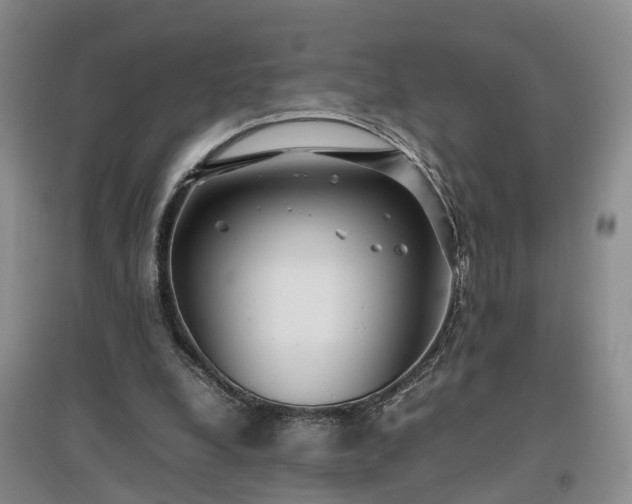 X0000097000248200802151420