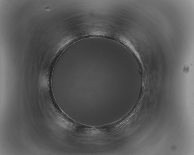 X0000097000249200802151420