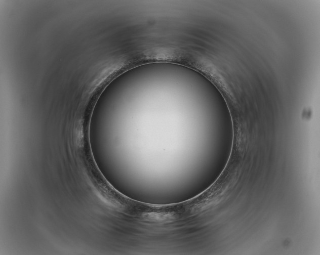 X0000097000251200802151420