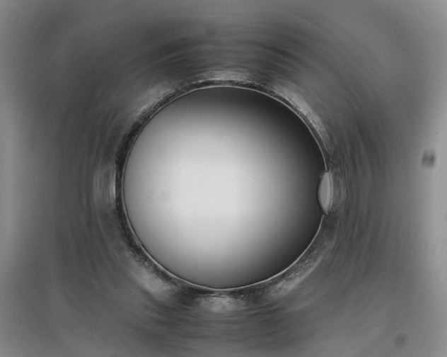 X0000097000253200802151420