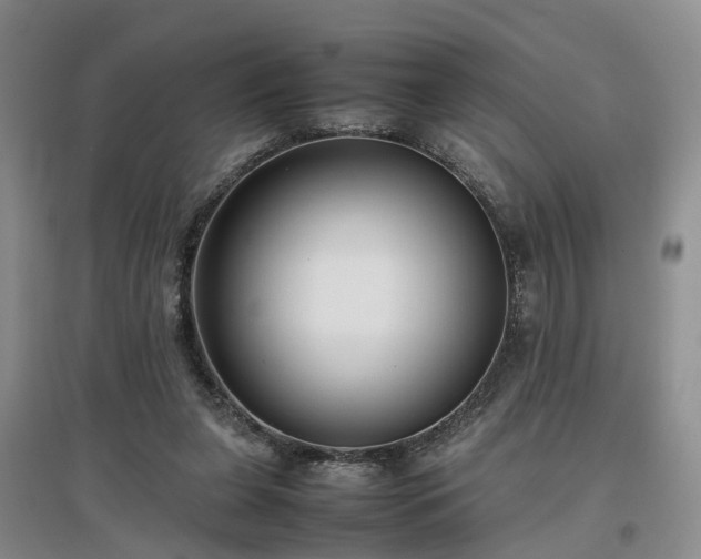 X0000097000255200802151420