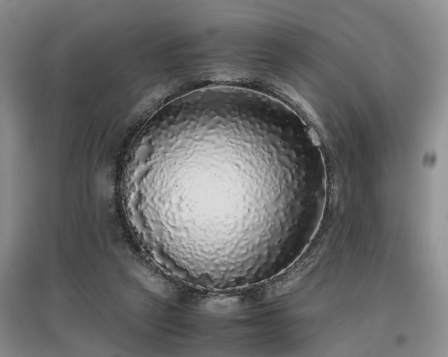 X0000097000257200802151420