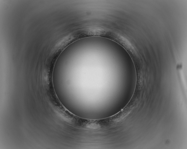 X0000097000258200802151420