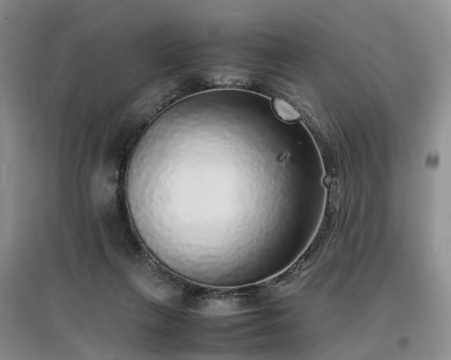 X0000097000263200802151420