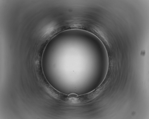 X0000097000265200802151420