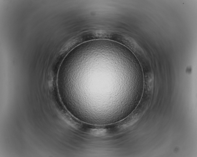 X0000097000266200802151420