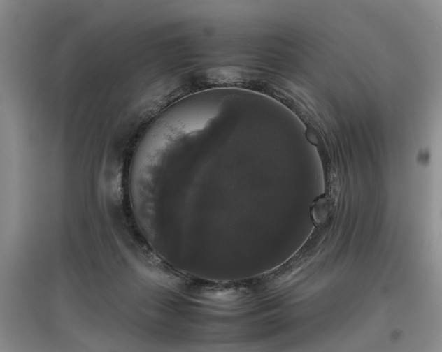 X0000097000267200802151420