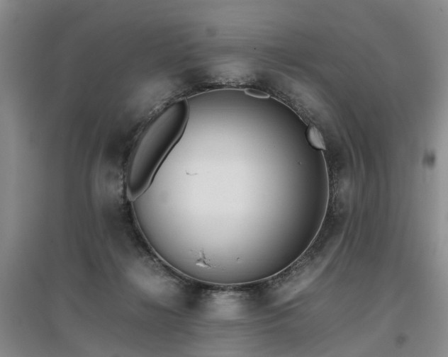 X0000097000268200802151420