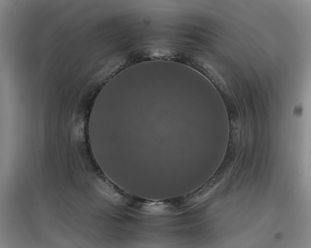 X0000097000269200802151420
