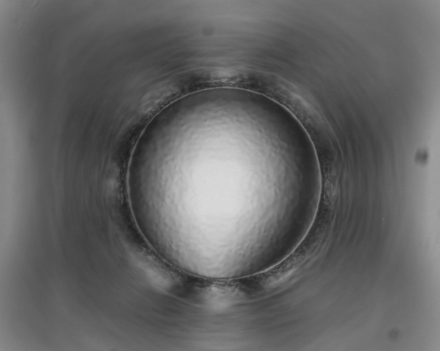 X0000097000270200802151420