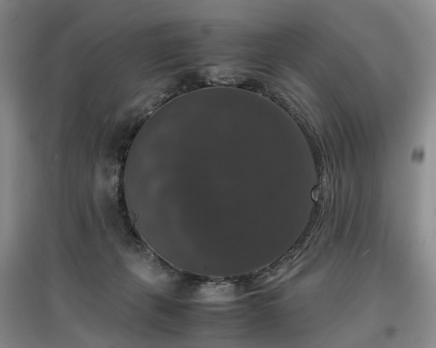 X0000097000271200802151420
