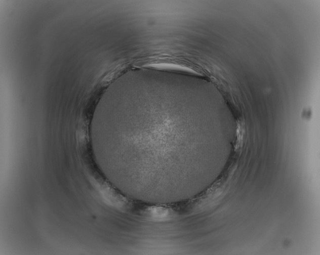 X0000097000272200802151420