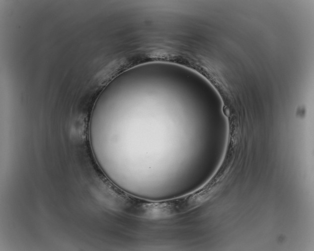 X0000097000273200802151420