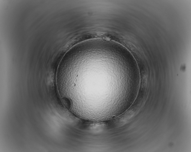 X0000097000274200802151421