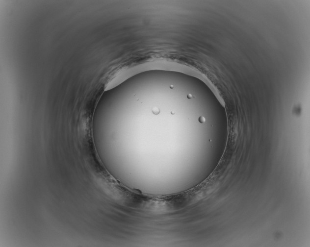 X0000097000276200802151421