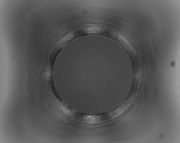 X0000097000277200802151421