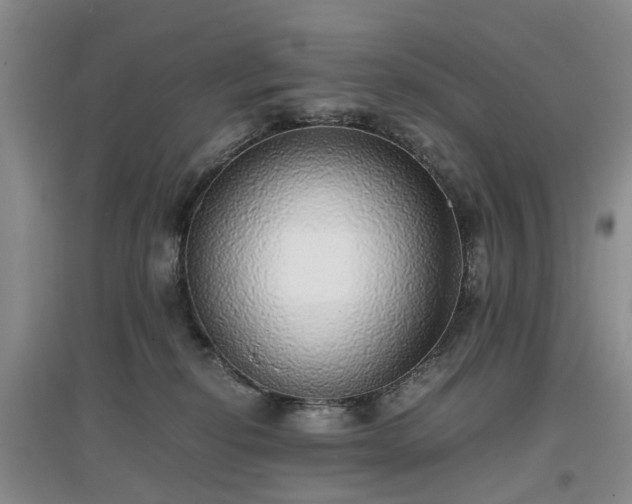 X0000097000278200802151421