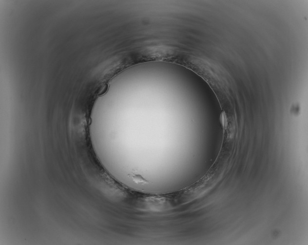 X0000097000279200802151421