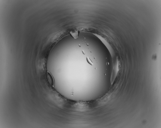 X0000097000280200802151421