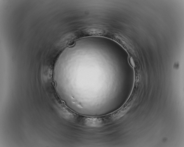 X0000097000281200802151421